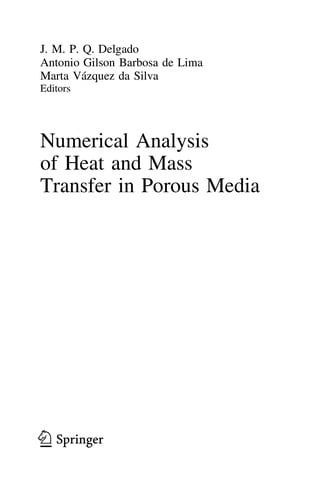 Numerical Analysis of Heat and Mass Transfer in Porous Media