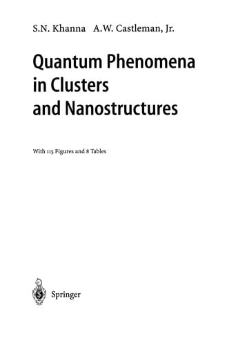 Quantum Phenomena in Clusters and Nanostructures