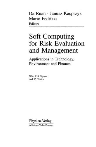 Soft computing for risk evaluation and management