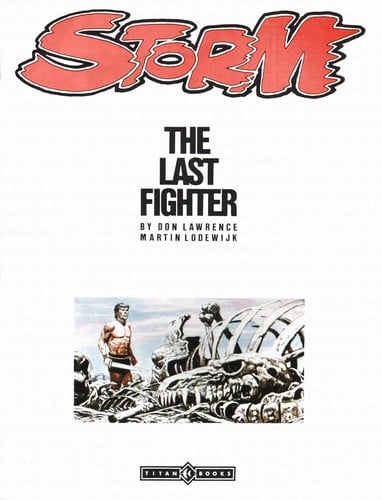 the last fighter