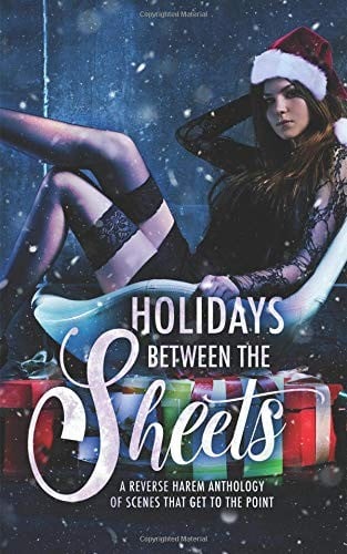 Holidays Between the Sheets: A Reverse Harem Anthology of Festive Scenes that Get to the Point