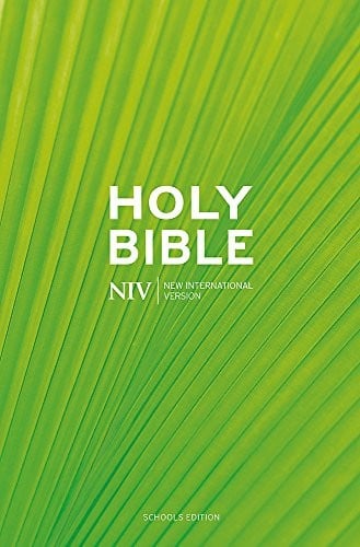 NIV Schools Bible.