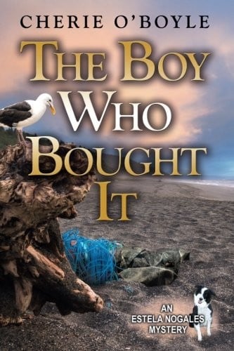 The Boy Who Bought It