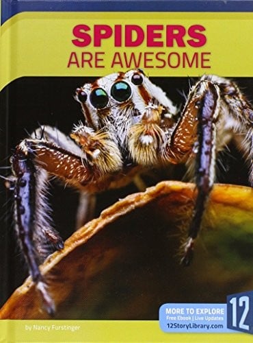 Spiders Are Awesome