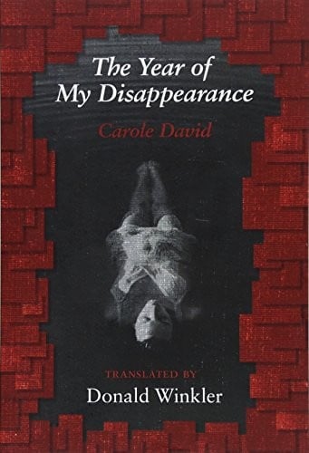 The Year of My Disappearance