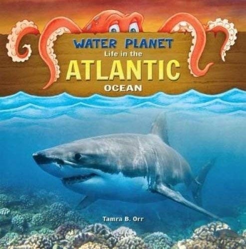 Life in the Atlantic Ocean