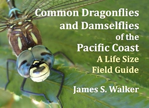 Common Dragonflies and Damselflies of the Pacific Coast