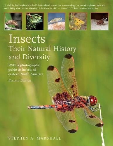 Insects : Their Natural History and Diversity