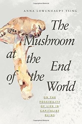 The mushroom at the end of the world
