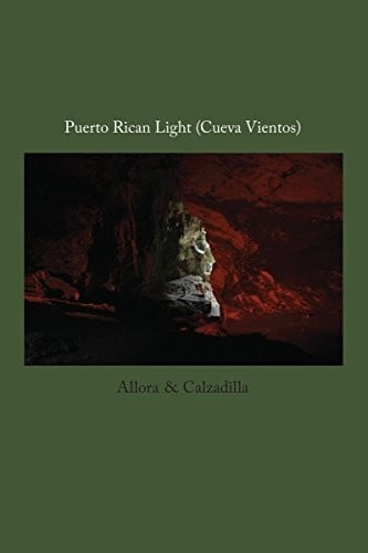 Allora & Calzadilla : Puerto Rican Light