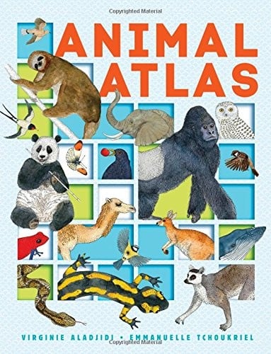 Animal Atlas