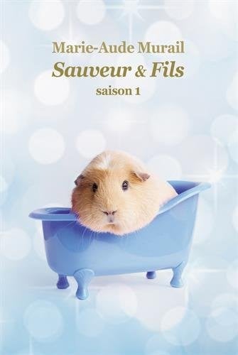 Sauveur & fils/Saison 1