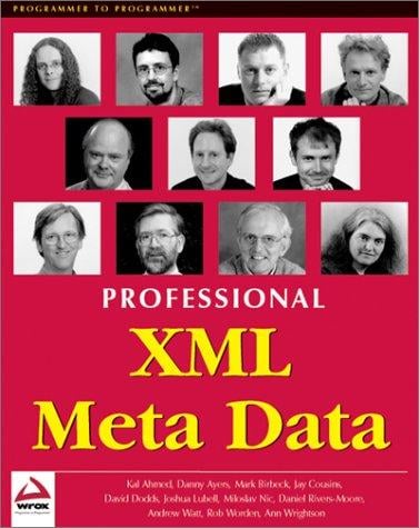 Professional XML meta data