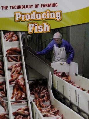 Producing fish