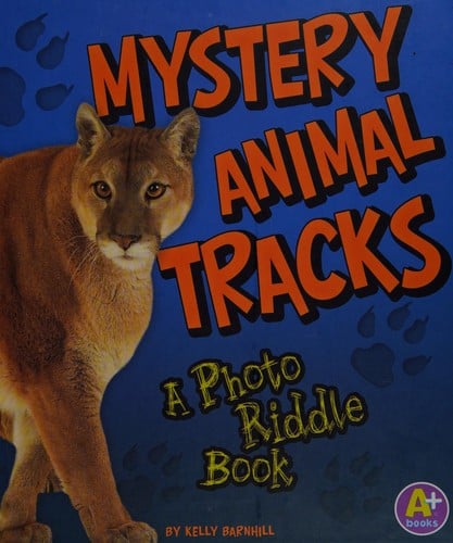 Mystery animal tracks