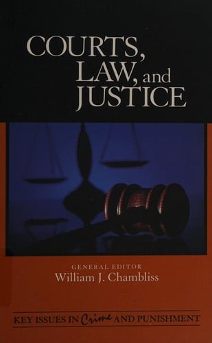 Key issues in crime and punishment