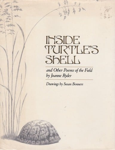 Inside Turtle's Shell