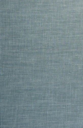 The evolution of the social classes