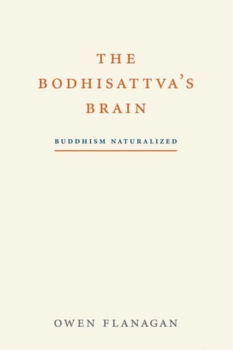 The Bodhisattva's Brain