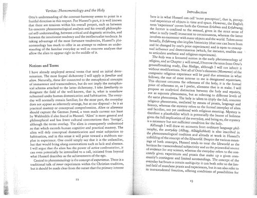 Phenomenology and the holy