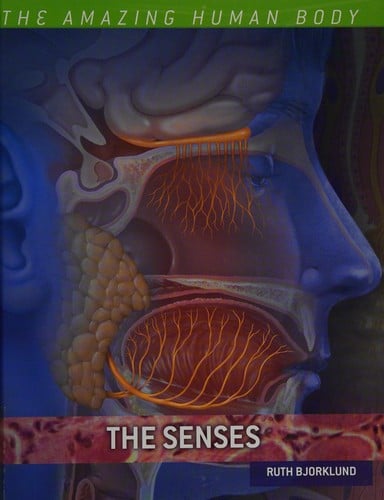 The senses
