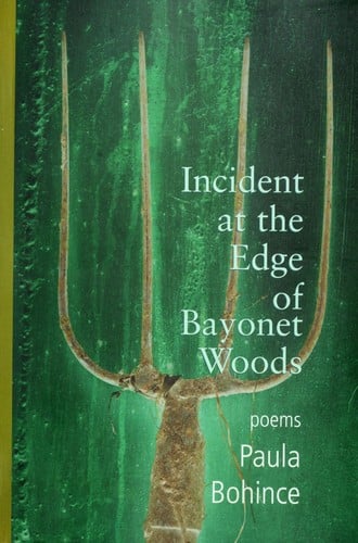 Incident at the edge of Bayonet Woods