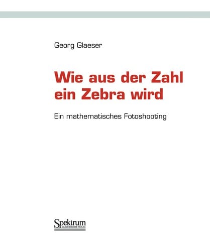 Wie aus der Zahl ein Zebra wird
