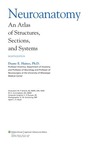 Neuroanatomy