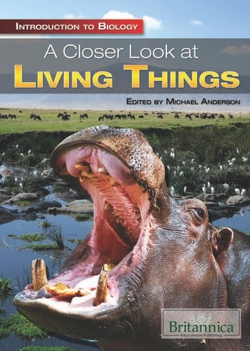 A closer look at living things