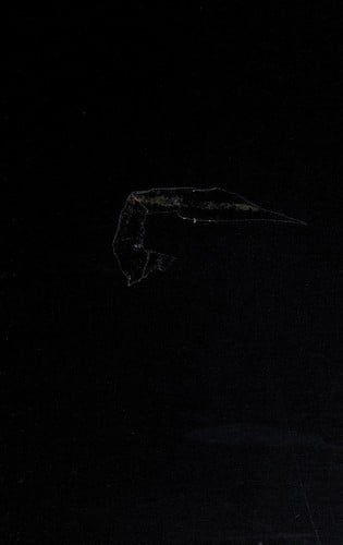 Strategies of American water management