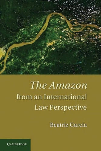 The Amazon from an international law perspective