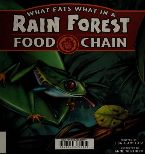 What eats what in a rain forest food chain