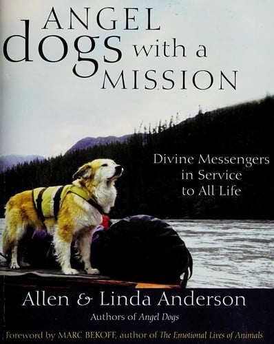 Angel dogs with a mission