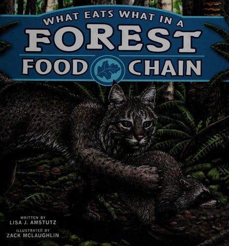 What eats what in a forest food chain