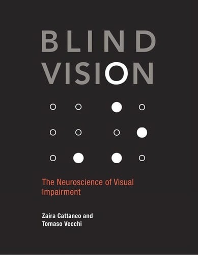 Blind vision