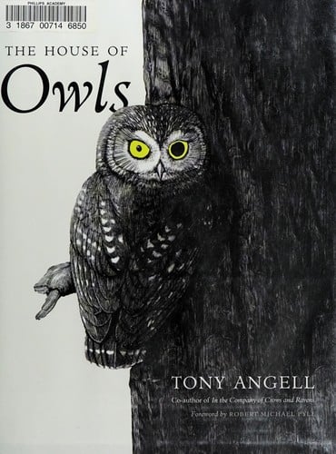 The house of owls