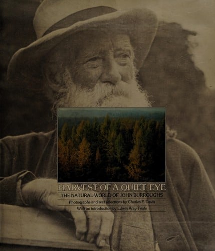 Harvest of a quiet eye