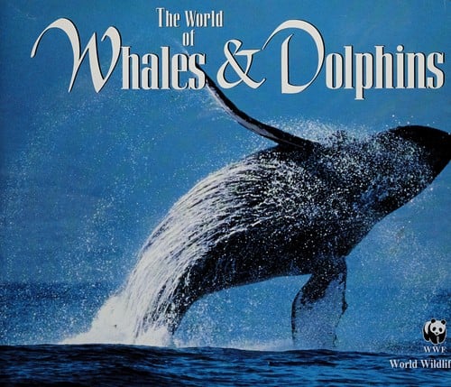 The world of whales & dolphins
