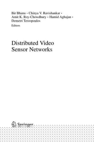 Distributed video sensor networks