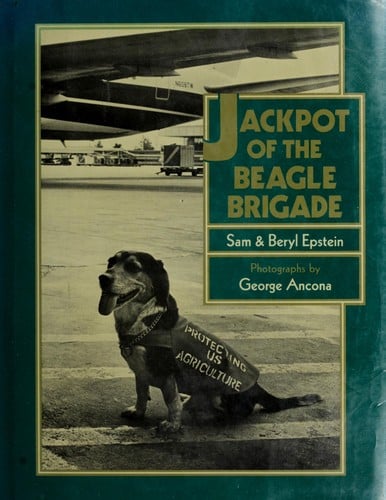 Jackpot of the Beagle Brigade