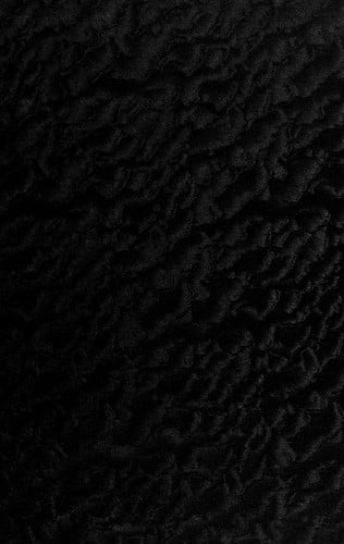 William Sharp--"Fiona Macleod," 1855-1905. --