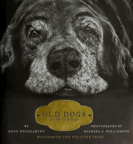 Old Dogs