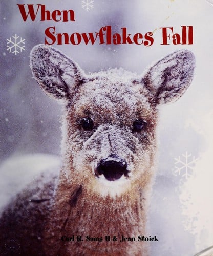 When snowflakes fall
