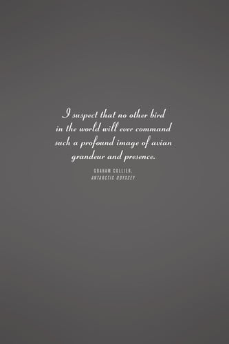 The albatross and the fish