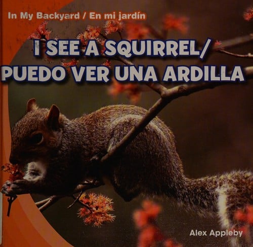 I see a squirrel =