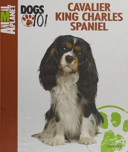 Cavalier King Charles spaniel