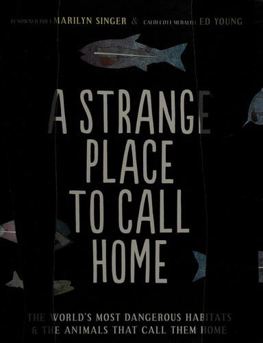 A strange place to call home