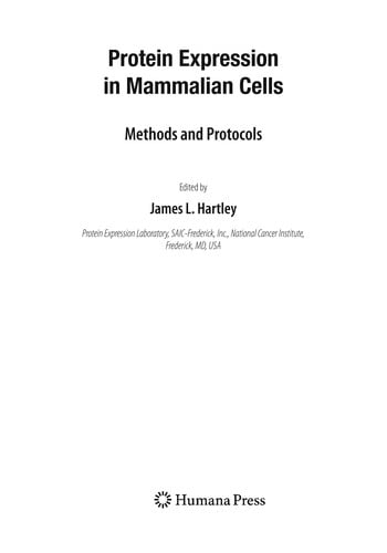 Protein expression in mammalian cells