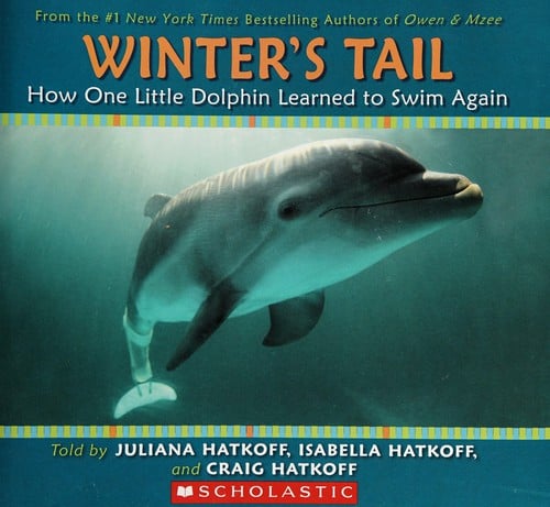 Winter's tail: how one little dolphin learned to swim again