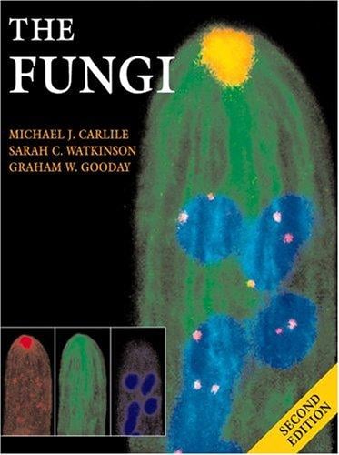 The fungi